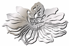 Logo des Botanischen Gartens Logo des Botanischen Gartens