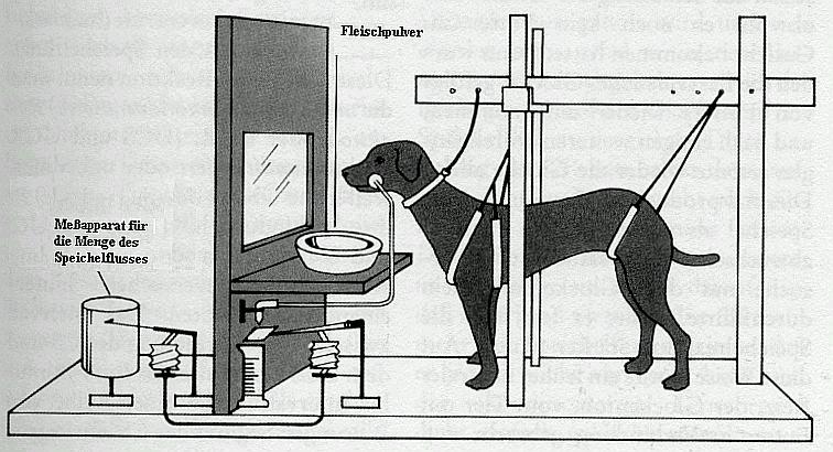 Pawlow - Versuchsapperat