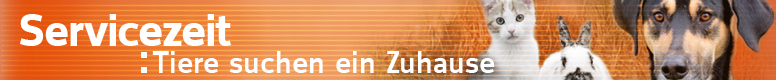 Ausgewählte Tipps für Hundefreunde auf der Seite Servicezeit: Tiere suchen ein Zuhause des WDR Fernsehens