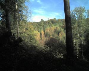 Panoramabild im Wolfspark