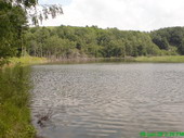 Der ehemalige Absinkweiher Frommersbachtal