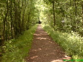 Der ehemalige Absinkweiher Frommersbachtal