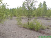 Absinkweiher Bild 6
