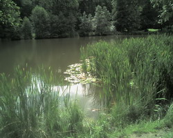 Klicken Sie um das Originalbild zu erhalten. Die Natur erwacht wieder - Bild 1
