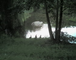 Klicken Sie um das Originalbild zu erhalten. Die Natur erwacht wieder - Bild 4