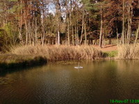 Der Biehlersweiher in Neunkirchen-Furpach