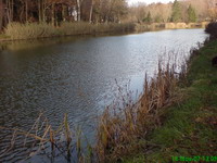 Der Biehlersweiher in Neunkirchen-Furpach