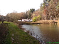 Der Biehlersweiher in Neunkirchen-Furpach