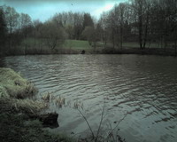 Weitere Weiher - Bild 1