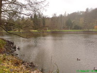 Der Deutschmühlenweiher Bild 4