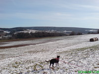 Gerry im Schnee