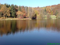 Der Glashütter Weiher in Rohrbach