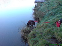 Der Glashütter Weiher in Rohrbach