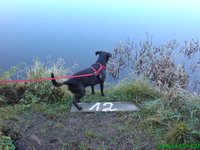 Der Glashütter Weiher in Rohrbach