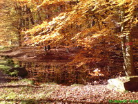 Der Glashütter Weiher in Rohrbach