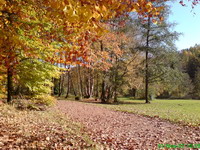 Der Glashütter Weiher in Rohrbach