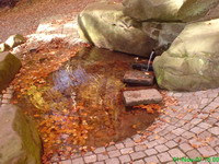 Der Glashütter Weiher in Rohrbach