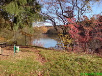 Der Glashütter Weiher in Rohrbach