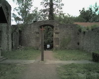 Klosterruine Bild 7