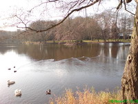 Der Gutsweiher in Neunkirchen-Furpach