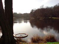 Der Gutsweiher in Neunkirchen-Furpach