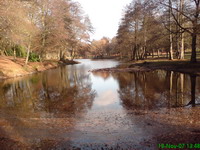 Der Gutsweiher in Neunkirchen-Furpach