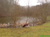 Der Heinitzer Weiher