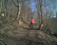 Kaninchenberg Bild 3
