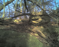 Kaninchenberg Bild 9