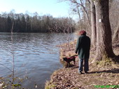 Der Losheimer See