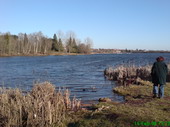 Der Losheimer See