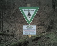 Netbachtal Bild 4