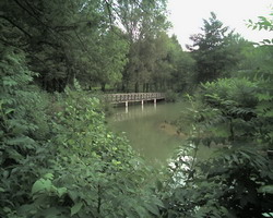 Brücke über den Weiher