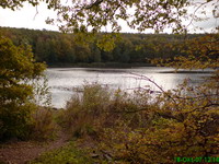 Der Saufangweiher Bild 5