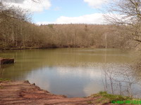 Der Steinbachweiher Nr. 3