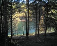 Nonnweiler Stausee - Bild 6