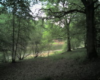 Warndtweiher - Bild 5