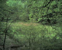 Warndtweiher - Bild 6