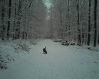 Winterfoto 2